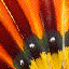 screen5